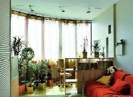 Озеленение детской комнаты