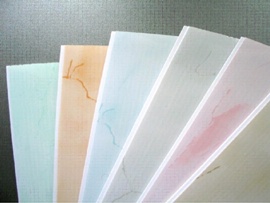 Стеновые панели ПВХ